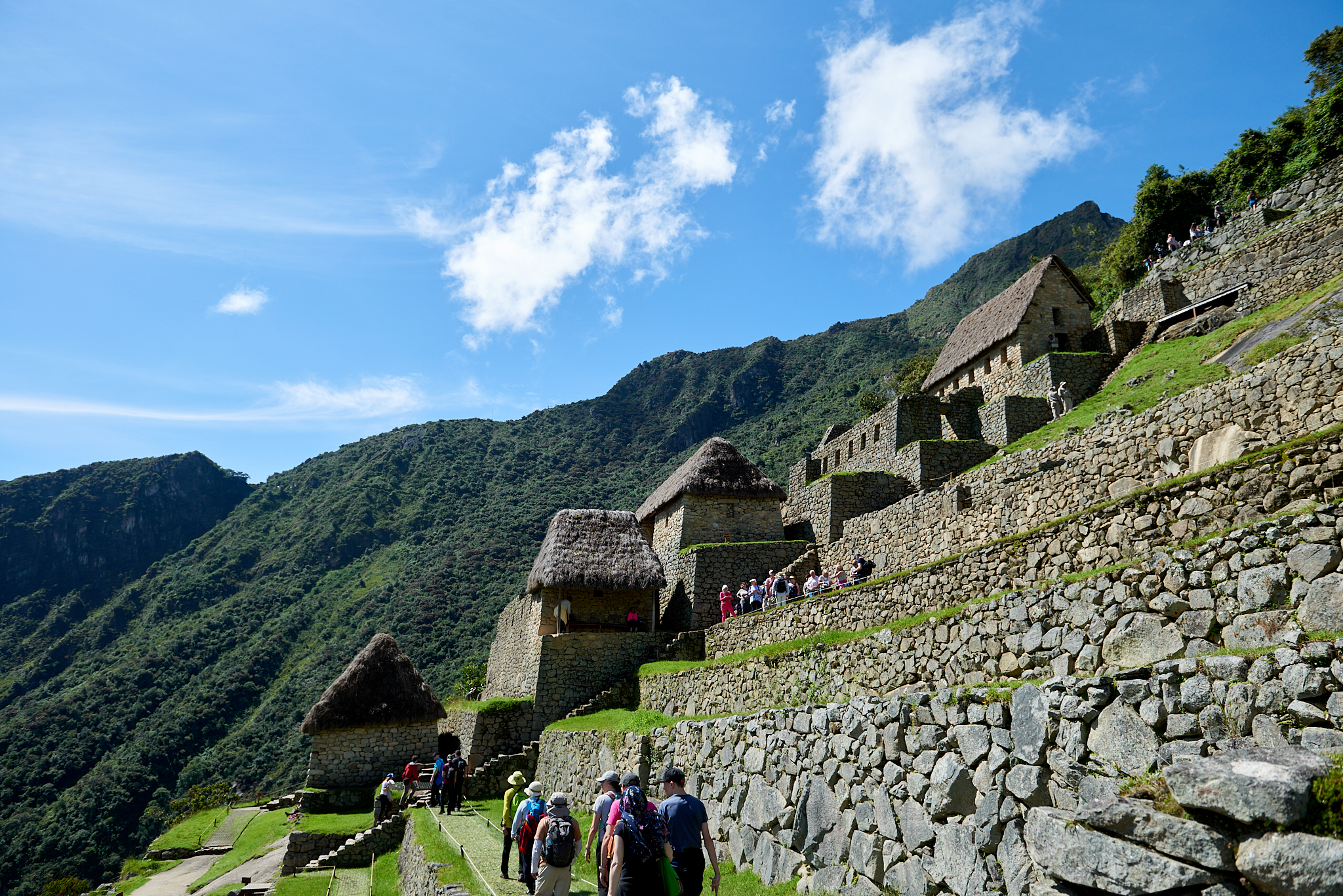 20200308 678 [페루] 마추픽추